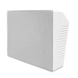 Zycoo EW15 parlante IP